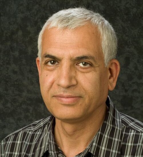 Photo of Rahim Moineddin