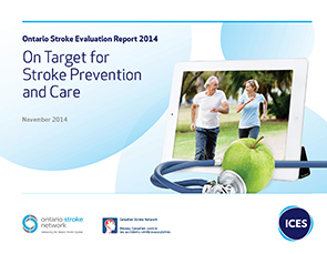 Ontario Stroke Evaluation Report 2014
