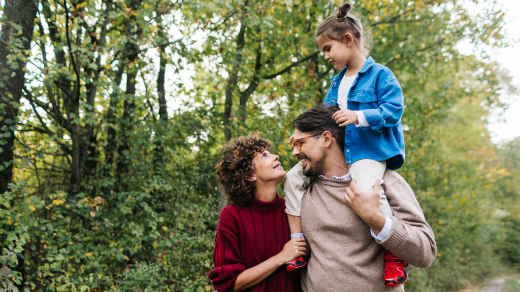 Ices Data Privacy And Security