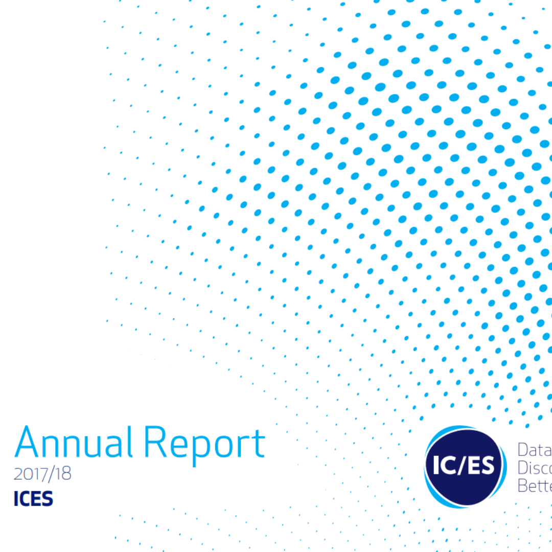 ICES Annual Report 2022 by ICES - Issuu