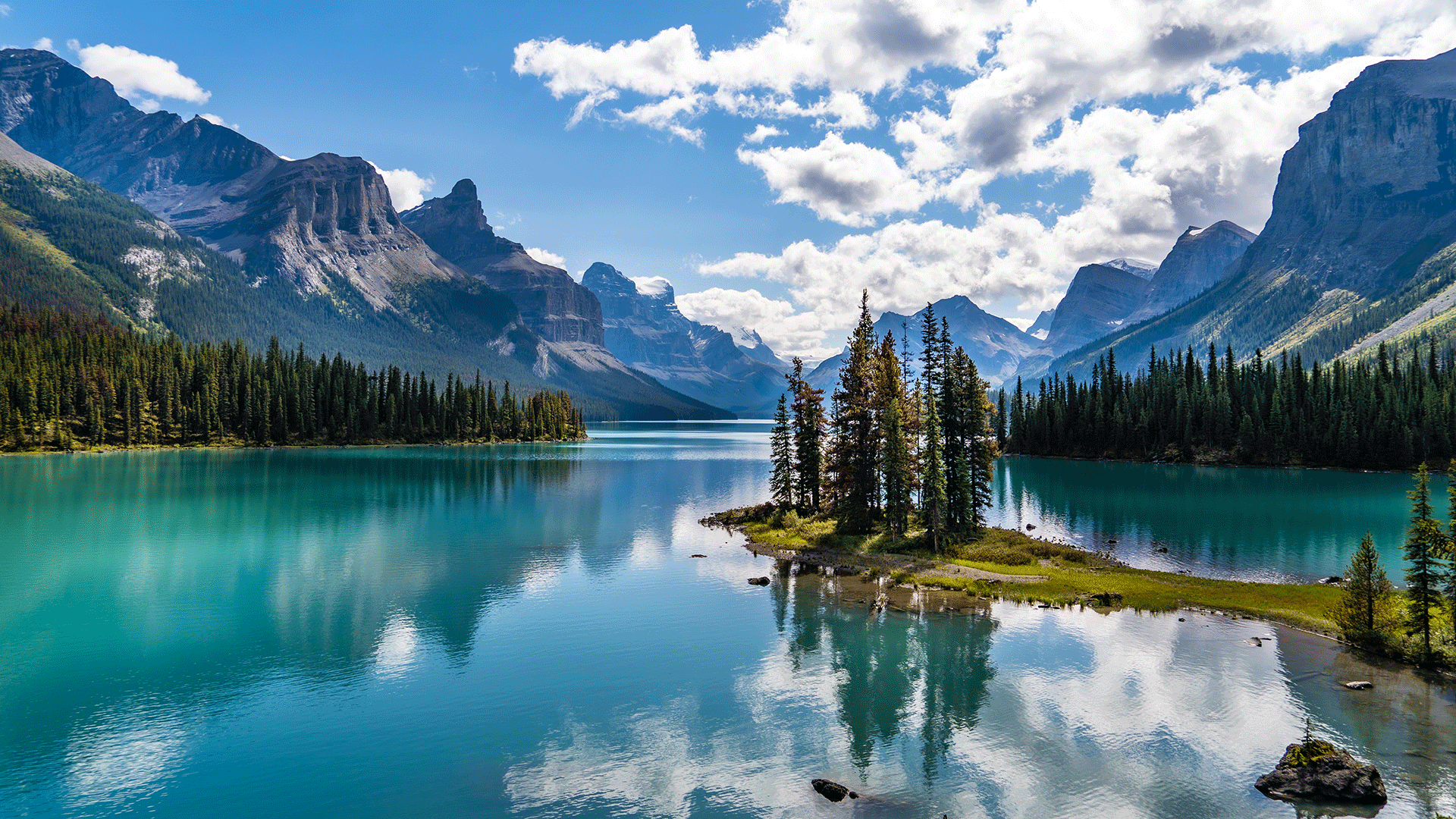 Lake and mountain view with pine trees